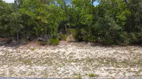 3899 W Shadow Creek Loop, Lecanto, FL 34461 photo 22