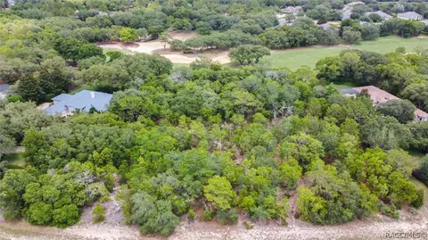 3899 W Shadow Creek Loop, Lecanto, FL 34461 photo 2