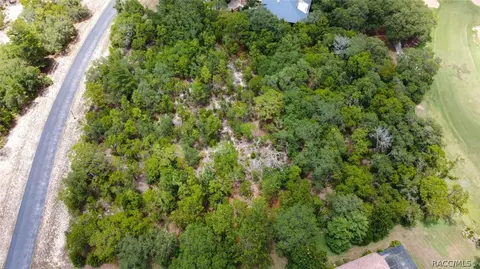 3899 W Shadow Creek Loop, Lecanto, FL 34461 photo 18