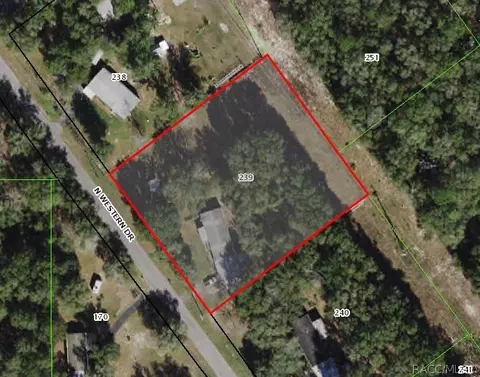 5479 N Western Dr, Hernando, FL 34442 photo 50