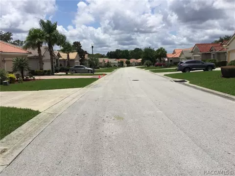 1103 W Diamond Shore Loop, Hernando, FL 34442 photo 45