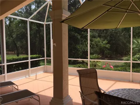 1103 W Diamond Shore Loop, Hernando, FL 34442 photo 6