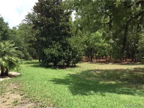 1103 W Diamond Shore Loop, Hernando, FL 34442 photo 41