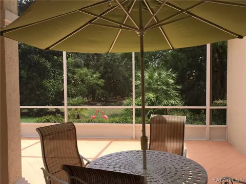 1103 W Diamond Shore Loop, Hernando, FL 34442 photo 5