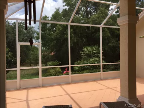 1103 W Diamond Shore Loop, Hernando, FL 34442 photo 7