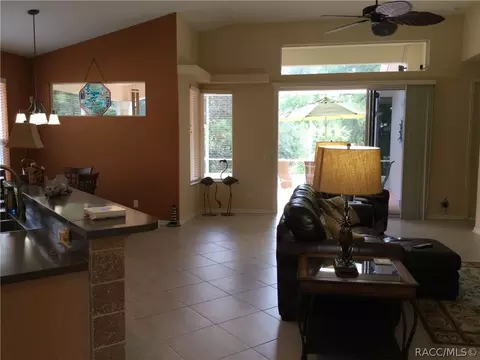 1103 W Diamond Shore Loop, Hernando, FL 34442 photo 11