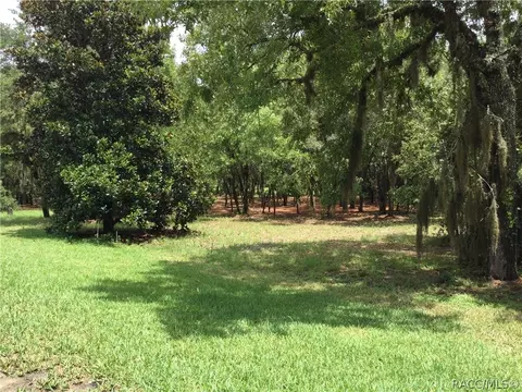 1103 W Diamond Shore Loop, Hernando, FL 34442 photo 42