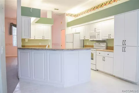 105 E Lancaster St, Lecanto, FL 34461 photo 24