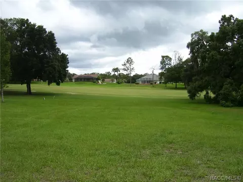 364 Eureka Ct, Hernando, FL 34442 photo 1