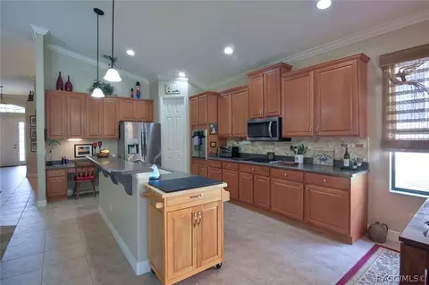 994 W Sun Valley Ct, Hernando, FL 34442 photo 15