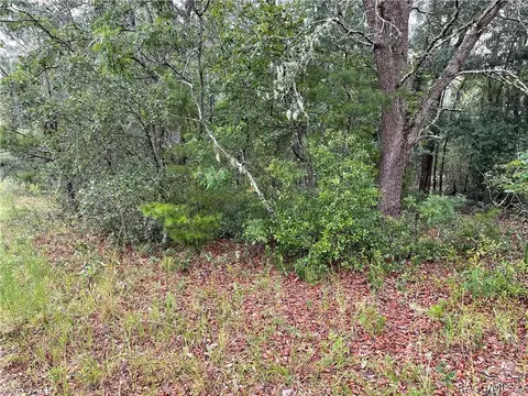 960 E Overdrive Cir, Hernando, FL 34442 photo 14