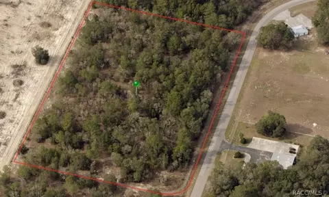 960 E Overdrive Cir, Hernando, FL 34442 photo 3