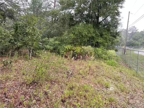 960 E Overdrive Cir, Hernando, FL 34442 photo 15