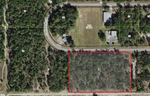 960 E Overdrive Cir, Hernando, FL 34442 photo 1