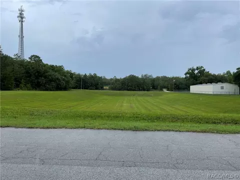 960 E Overdrive Cir, Hernando, FL 34442 photo 10