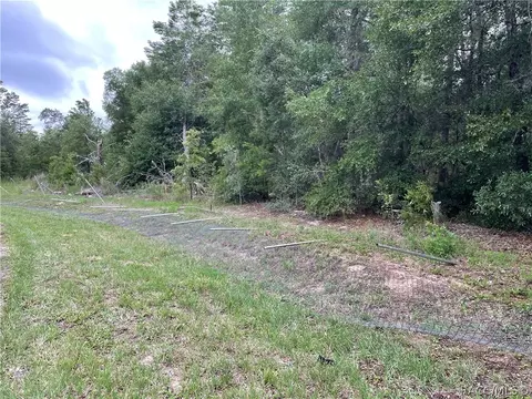 936 E Overdrive Cir, Hernando, FL 34442 photo 28
