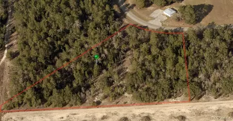936 E Overdrive Cir, Hernando, FL 34442 photo 4