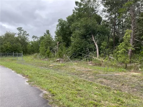 936 E Overdrive Cir, Hernando, FL 34442 photo 25