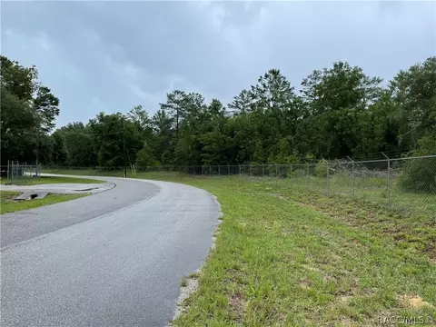 936 E Overdrive Cir, Hernando, FL 34442 photo 24