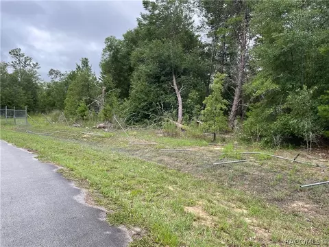 936 E Overdrive Cir, Hernando, FL 34442 photo 27