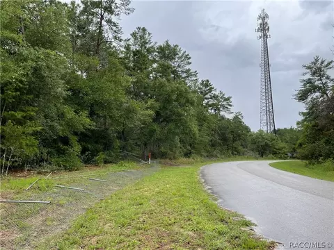 936 E Overdrive Cir, Hernando, FL 34442 photo 16