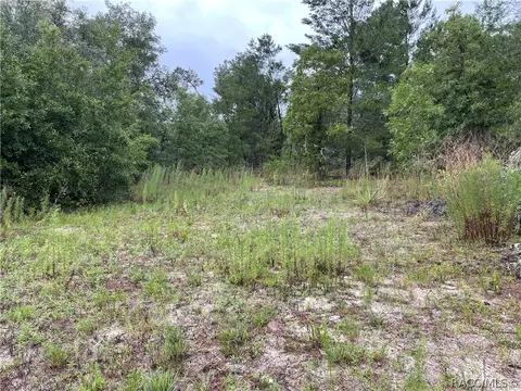 936 E Overdrive Cir, Hernando, FL 34442 photo 14