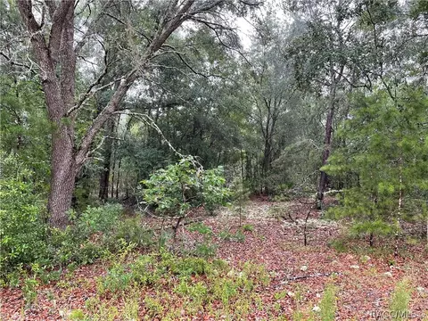 936 E Overdrive Cir, Hernando, FL 34442 photo 10