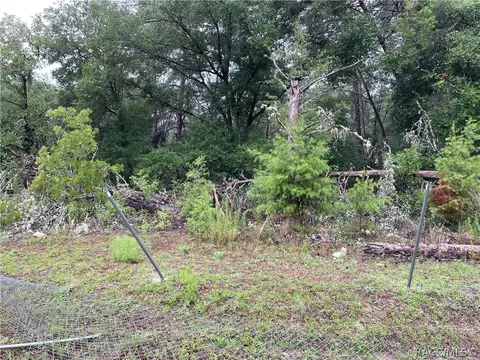936 E Overdrive Cir, Hernando, FL 34442 photo 18