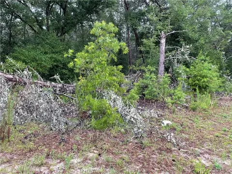 936 E Overdrive Cir, Hernando, FL 34442 photo 13