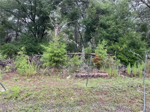936 E Overdrive Cir, Hernando, FL 34442 photo 19
