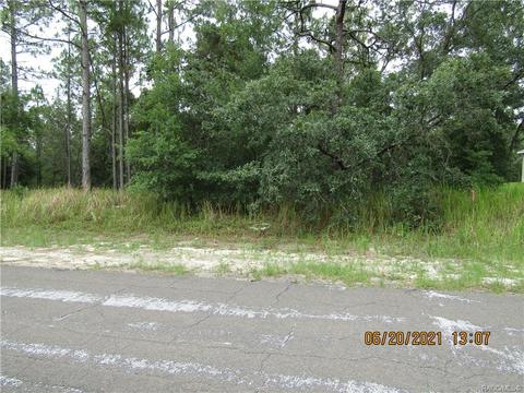 3502 W Brazilnut Rd, Beverly Hills, FL 34465