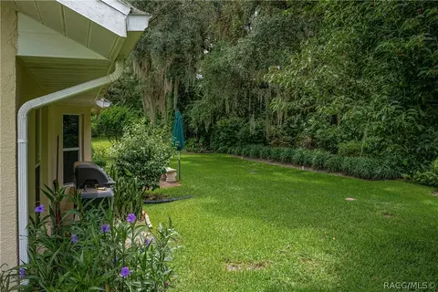 2922 N Chandler Dr, Hernando, FL 34442 photo 28