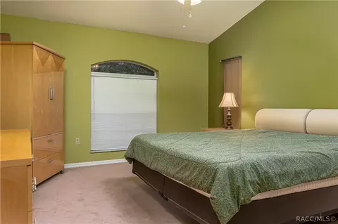 2922 N Chandler Dr, Hernando, FL 34442 photo 8