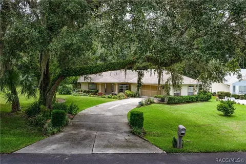 2922 N Chandler Dr, Hernando, FL 34442 photo 29