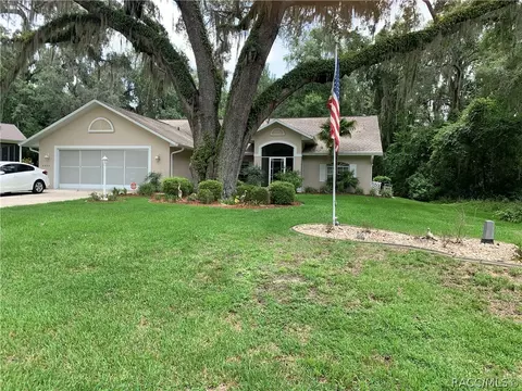 2975 N Chandler Dr, Hernando, FL 34442 photo 1