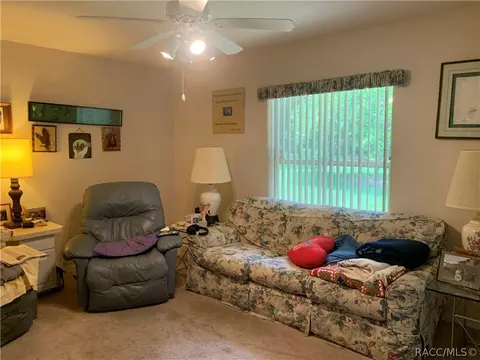 2975 N Chandler Dr, Hernando, FL 34442 photo 26