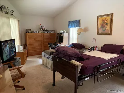 2975 N Chandler Dr, Hernando, FL 34442 photo 28