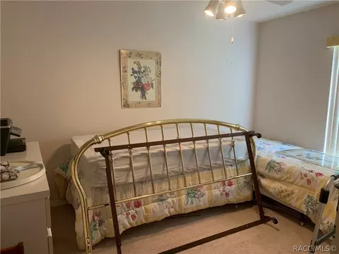 2975 N Chandler Dr, Hernando, FL 34442 photo 35