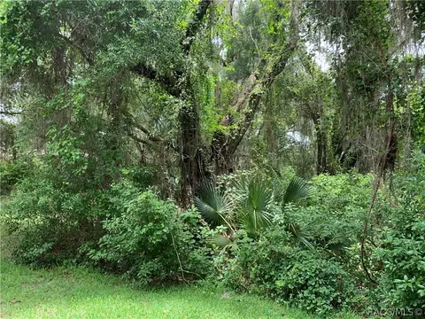 2975 N Chandler Dr, Hernando, FL 34442 photo 11