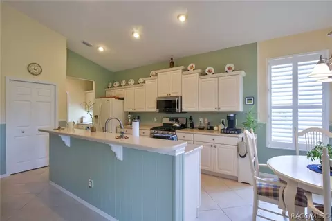 1391 W Diamond Shore Loop, Hernando, FL 34442 photo 21