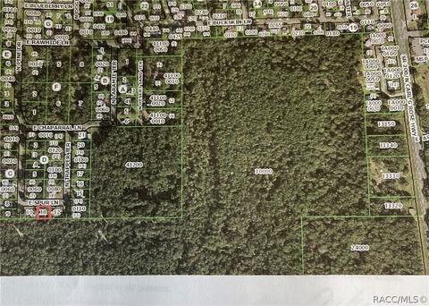 2962 E Spur Ln, Hernando, FL 34442 photo 16