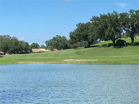 1148 W Diamond Shore Loop, Hernando, FL 34442 photo 36