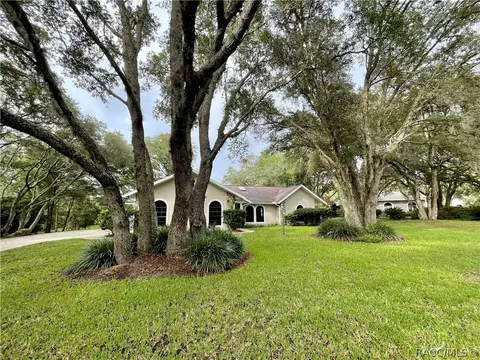 4307 N Indianhead Rd, Hernando, FL 34442 photo 2