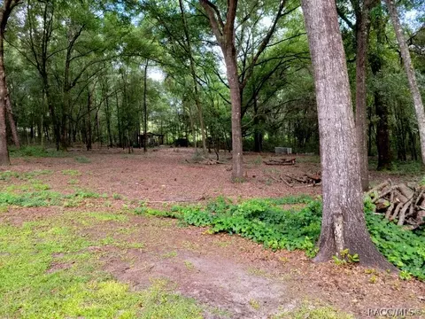 2362 N Mcgee Dr, Hernando, FL 34442 photo 26