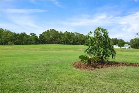 915 E Hartford St, Hernando, FL 34442 photo 43