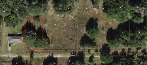 9250 E Windwood Loop, Inverness, FL 34450 photo 8