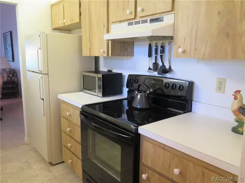 771 E Hartford St #4A, Hernando, FL 34442 photo 9