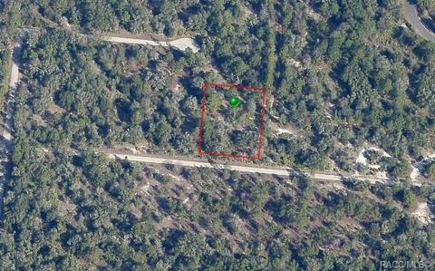 12135 W Flaxen Dr, Crystal River, FL 34428