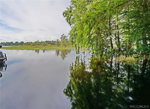 3891 Eagle Trl, Hernando, FL 34442 photo 1
