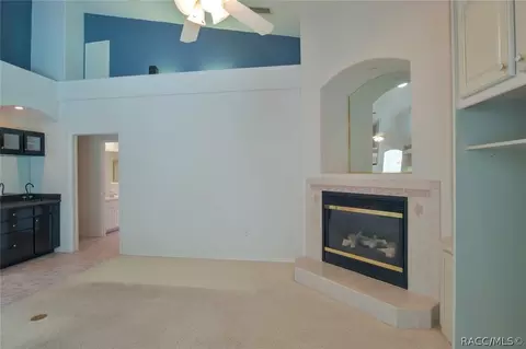 305 E Joplin Ct, Hernando, FL 34442 photo 21